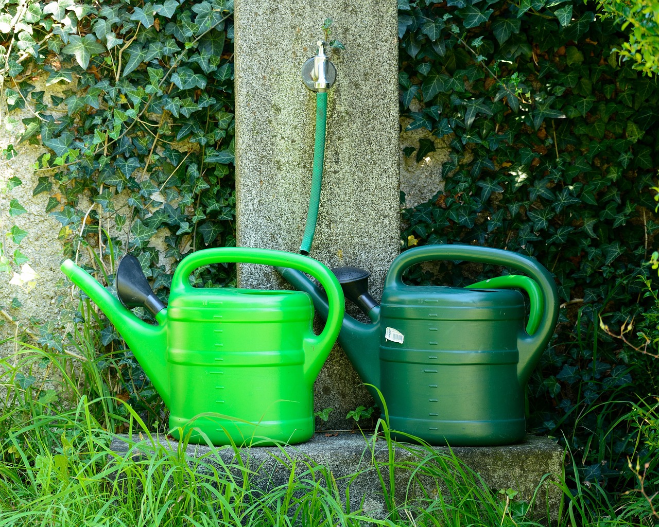 Irrigazione del giardino: sistema manuale senza elettricità in uso tra piante verdi.